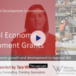 Video 11 - Budget and market viability