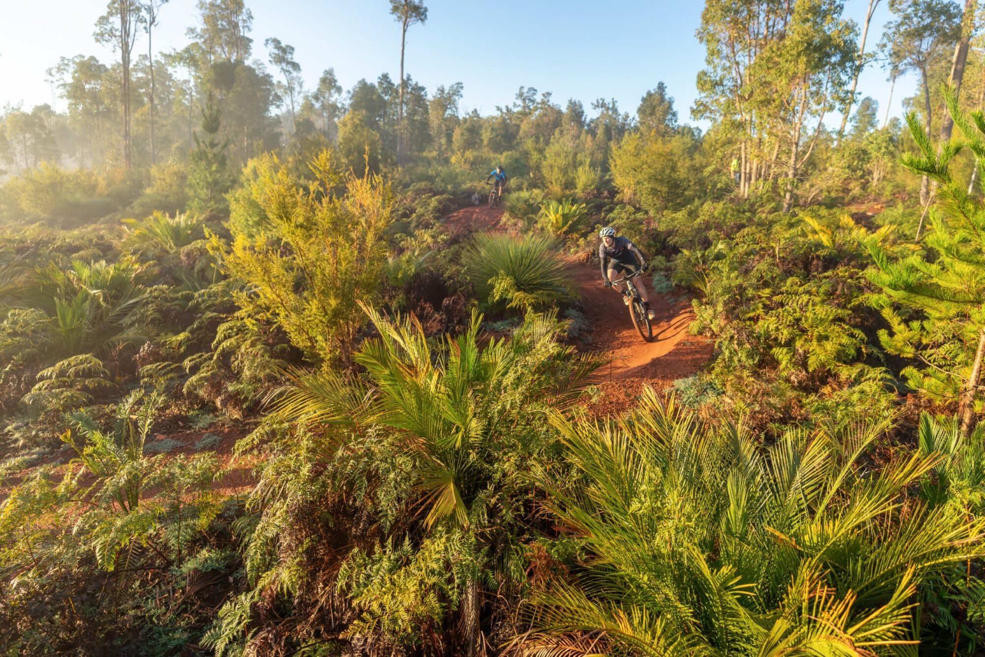 Murray_Valley_Trails_Mountain_Bikes_Two_Riders_Through_Bush_Sunrise credit Josh Cowling (Custom) Murray Valley Trails
