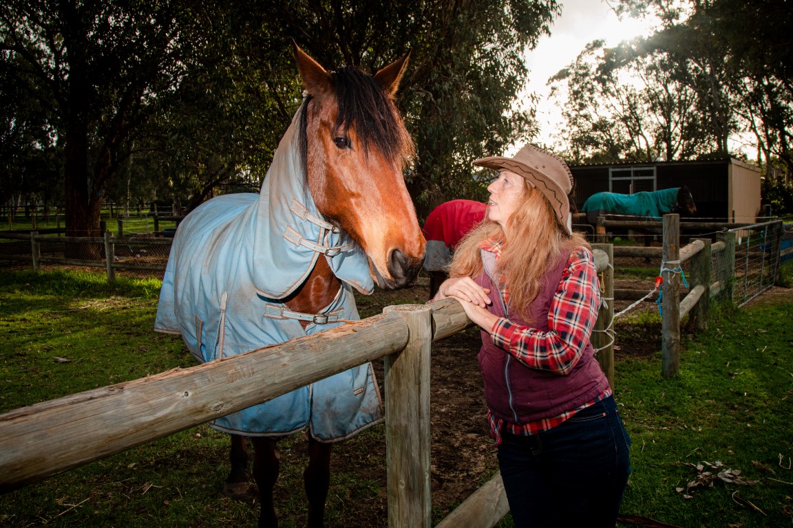 SJ Equine Crissy Coletta (1) (Medium) Chrissy Coletta