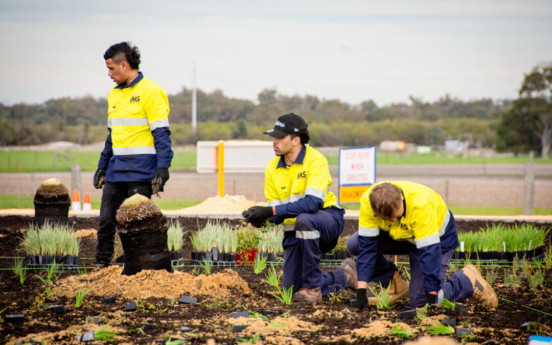 Indigenous contractor delivers landscaping at Peel Business Park