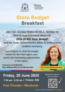State Budget 2025 flyer