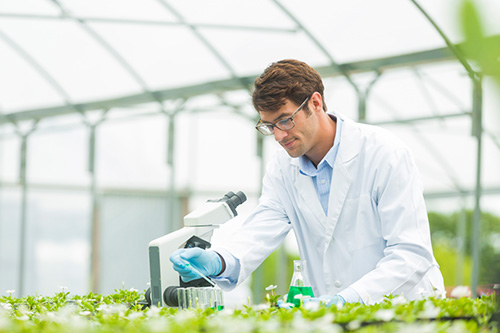 Food Zone research and innovation